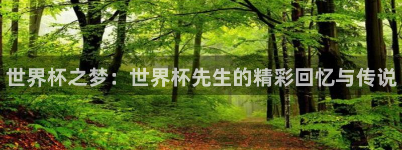 世界杯赛程2026：世界杯之梦：世界杯先生的精彩回忆与传说