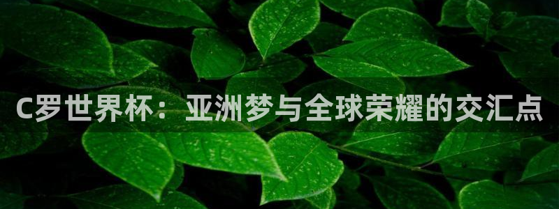 2026世界杯亚洲预选赛赛程：C罗世界杯：亚洲梦与全球荣耀的交汇点