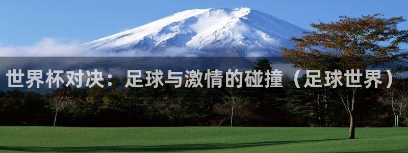 2026世界杯赛制：世界杯对决：足球与激情的碰撞（足球世界）