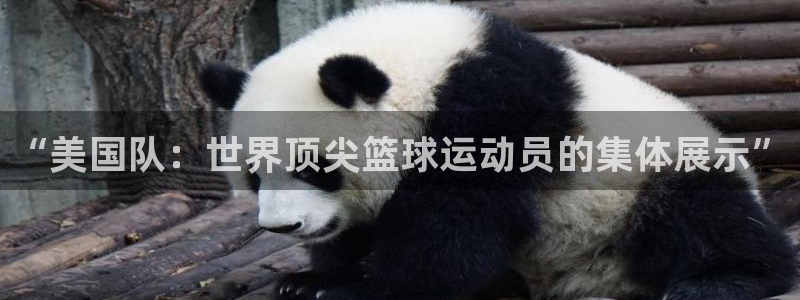 世界杯欧洲区预选赛赛程：“美国队：世界顶尖篮球运动员的集体展示”