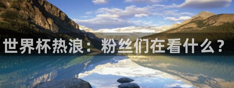 世界杯预赛赛程：世界杯热浪：粉丝们在看什么？
