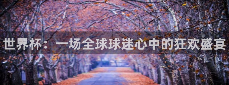 世界杯欧洲预选赛赛程：世界杯：一场全球球迷心中的狂欢盛宴