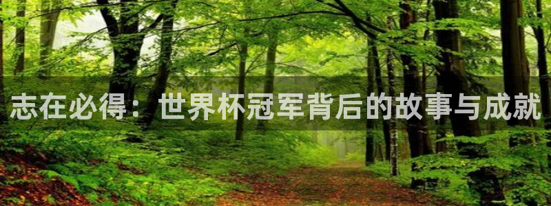 欧洲世预赛赛程表：志在必得：世界杯冠军背后的故事与成就