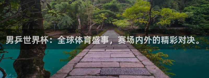 2026世界杯亚洲预选赛：男乒世界杯：全球体育盛事，赛场内外的精彩对决。