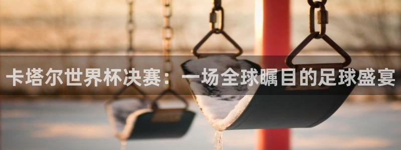2006年世界杯：卡塔尔世界杯决赛：一场全球瞩目的足球盛宴