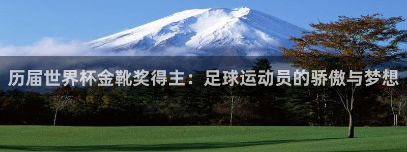 世界杯足球比赛：历届世界杯金靴奖得主：足球运动员的骄傲与梦想