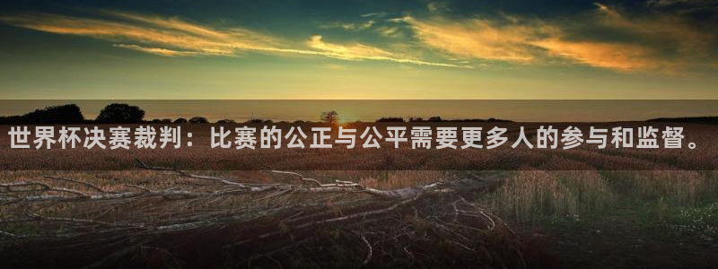 世界杯足球赛：世界杯决赛裁判：比赛的公正与公平需要更多人的参与和监督。