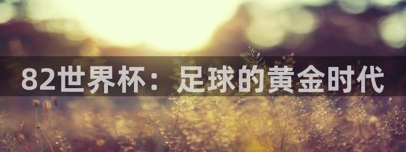 世界杯预选赛排名：82世界杯：足球的黄金时代