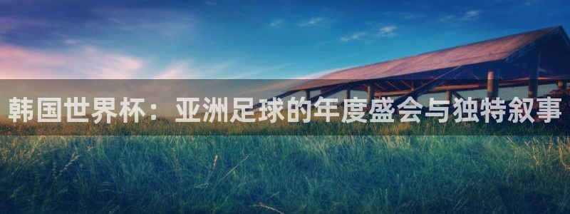 亚洲区世界杯预选赛：韩国世界杯：亚洲足球的年度盛会与独特叙事