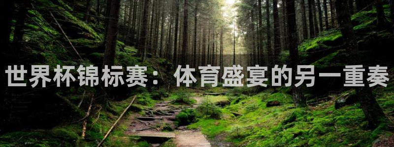 世界杯在线直播：世界杯锦标赛：体育盛宴的另一重奏