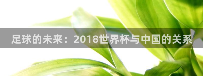 世界杯2026比赛时间表：足球的未来：2018世界杯与中国的关系