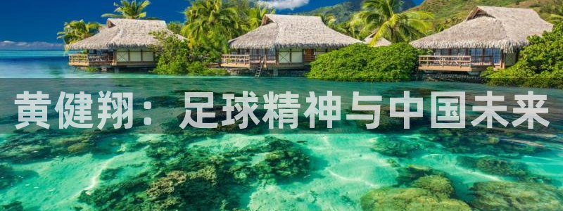 世界杯直播平台：黄健翔：足球精神与中国未来